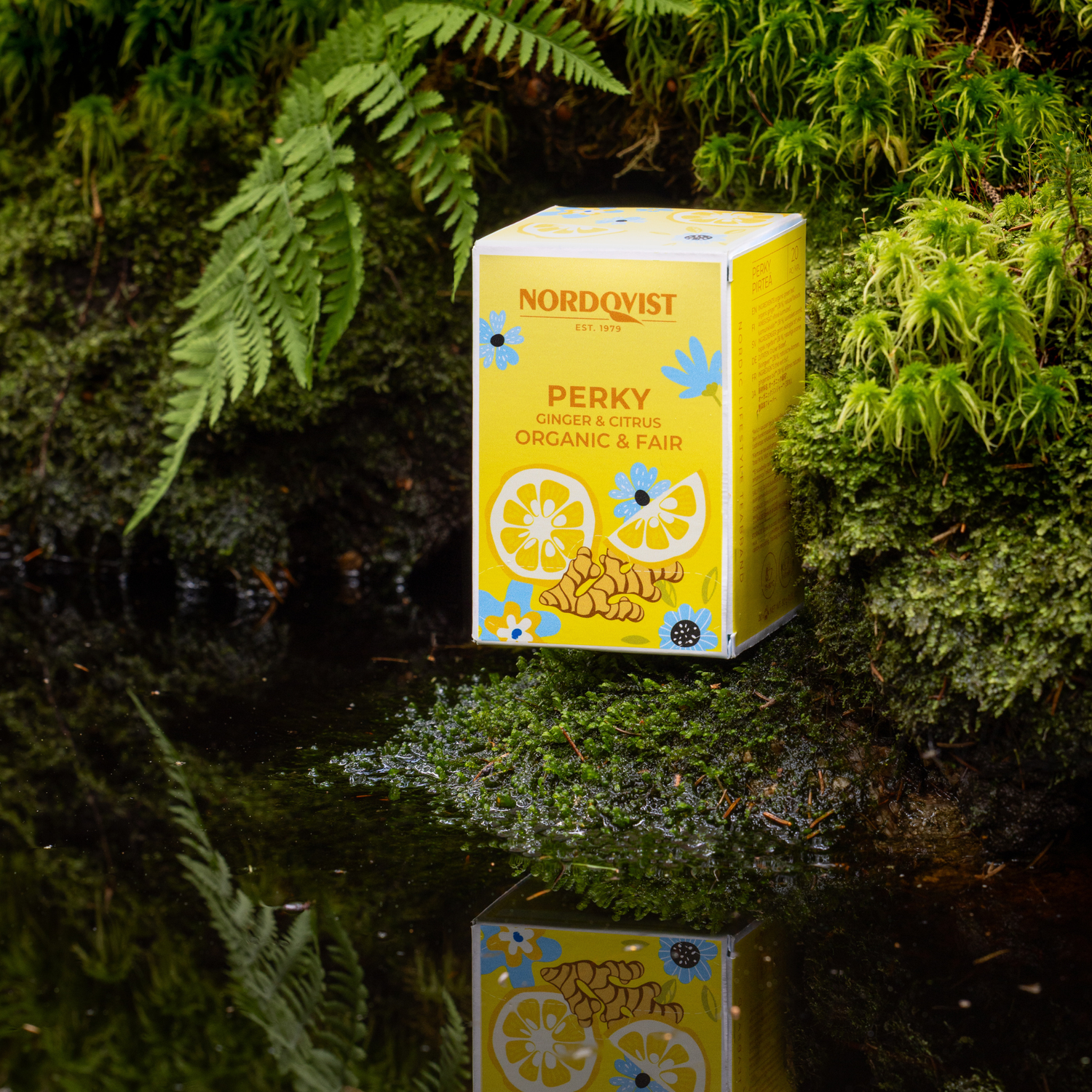 Perky Organic Green Tea, Ginger & Citrus NEW DESIGN