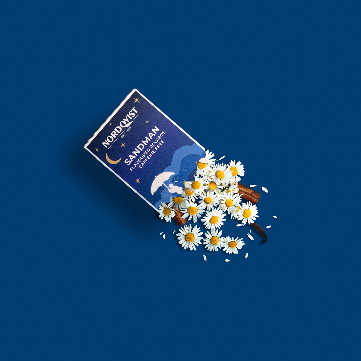 Brewed and ready to enjoy: Sandman DESIGN