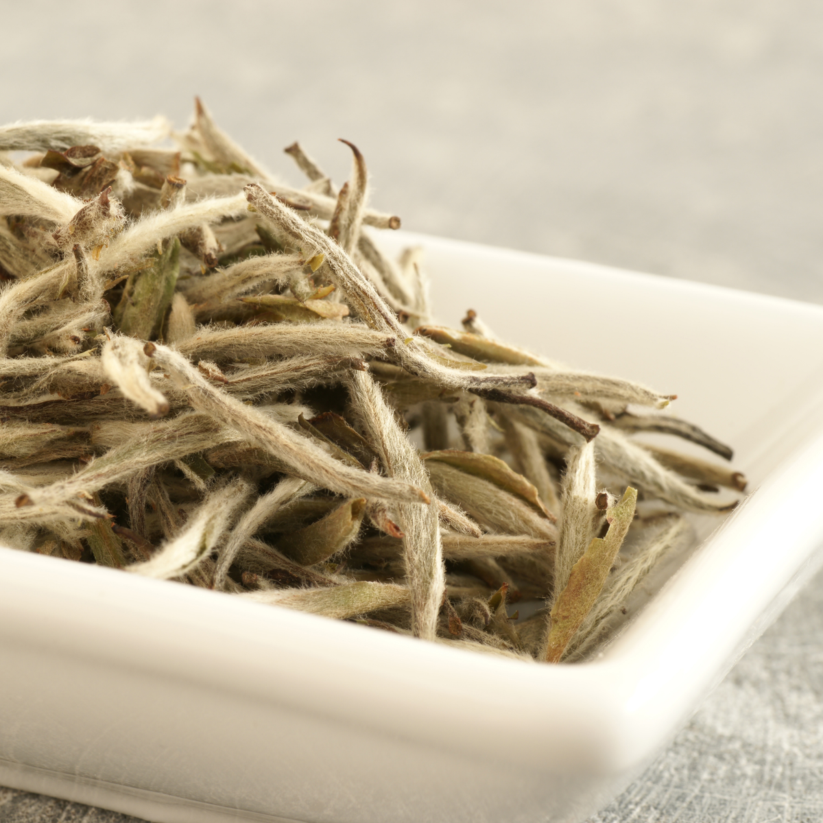 Silver Needle vs White Peony: Which White Tea Is Better?