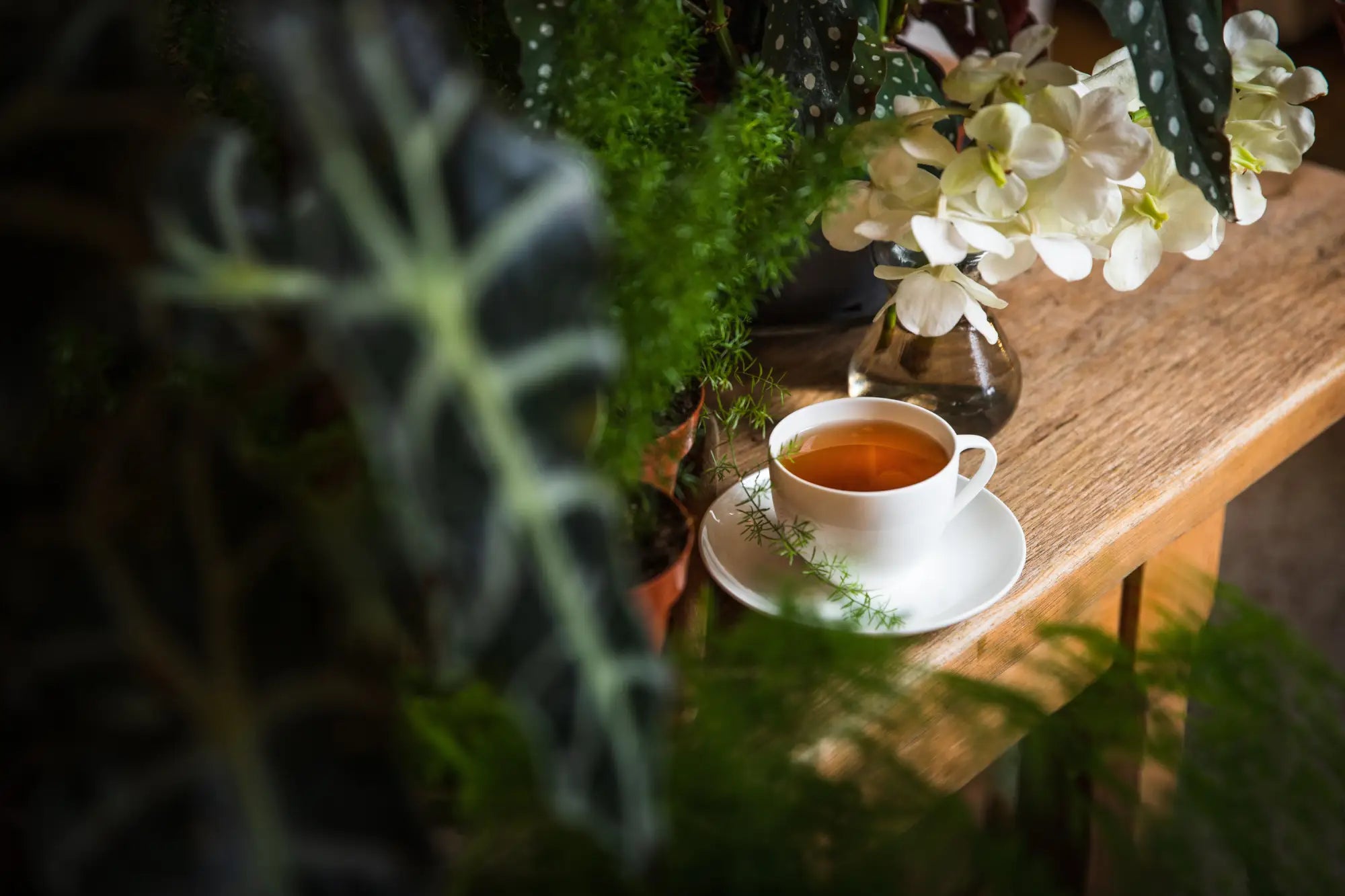 Gunpowder tea