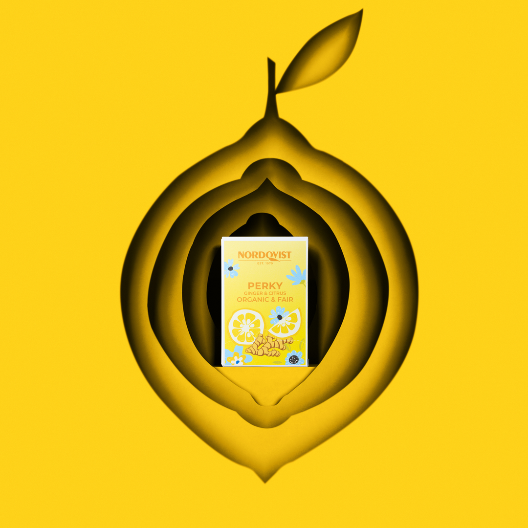 Perky Organic Green Tea, Ginger & Citrus