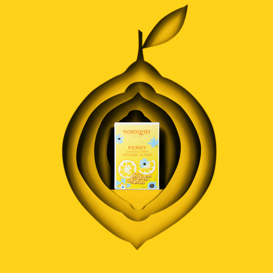 Perky Organic Green Tea, Ginger & Citrus