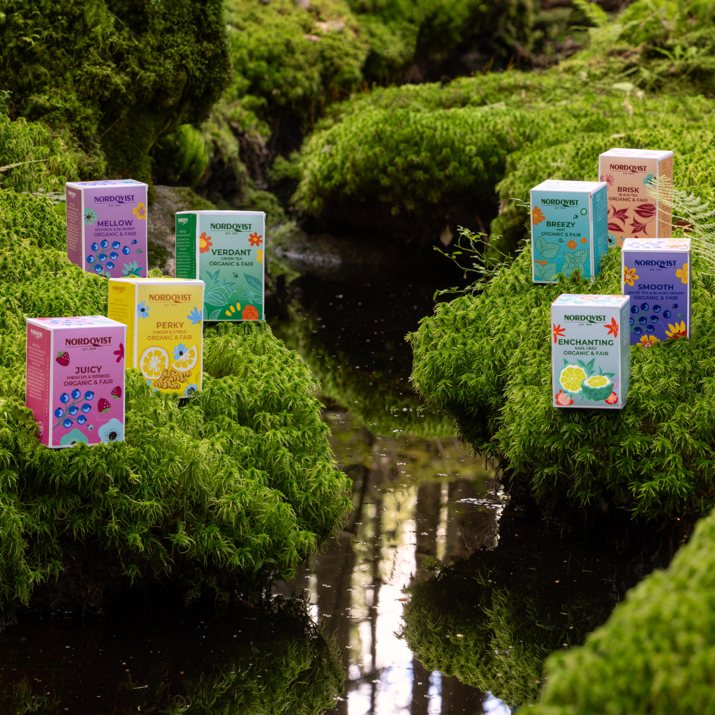 Brisk Organic Black Tea NEW DESIGN