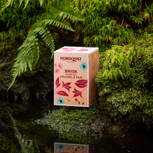 Brisk Organic Black Tea NEW DESIGN