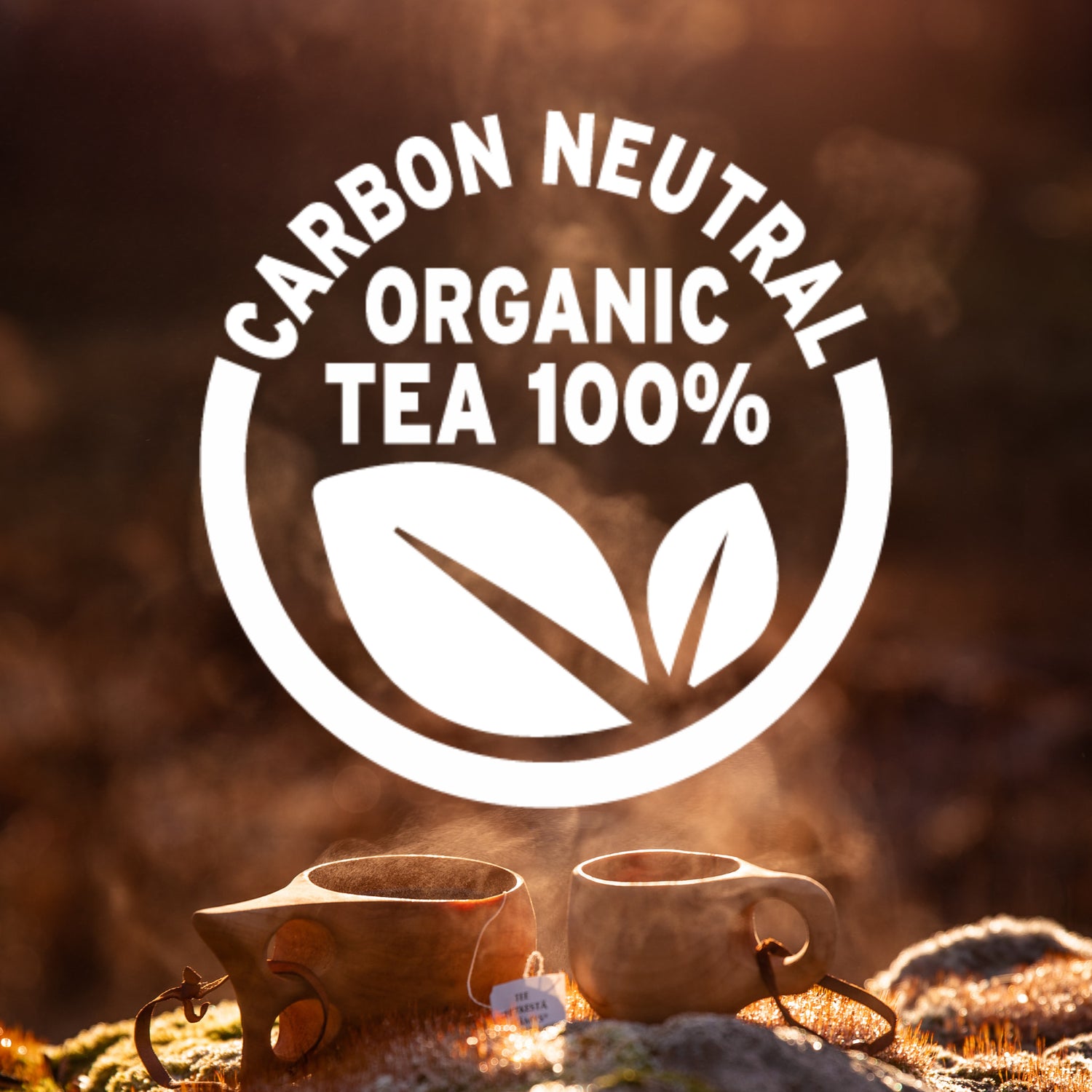 Breezy Organic Mint - Tea