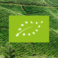 Breezy Organic Mint - Tea