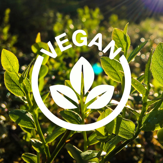 Mellow Organic Rooibos & Bilberry - Tea