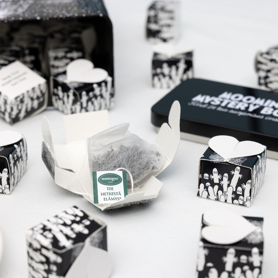 Moomin Mystery Box NEW