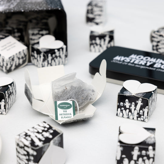 Moomin Mystery Box NEW