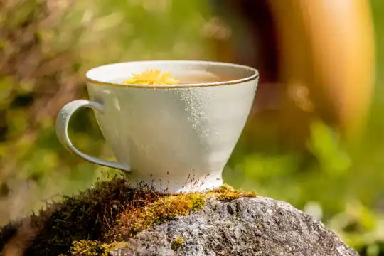 A white ceramic teacup with a gold rim, holding a beverage with yellow garnish.