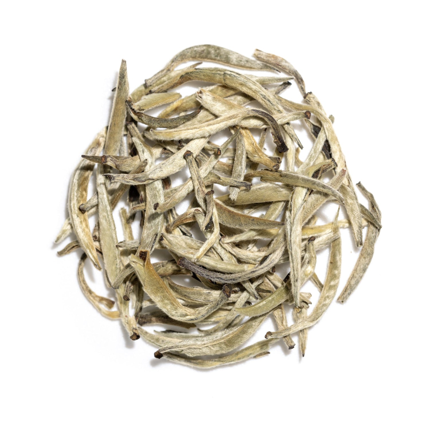 CLASSIC China Silver Needle 40 g - Loose Leaf Tea